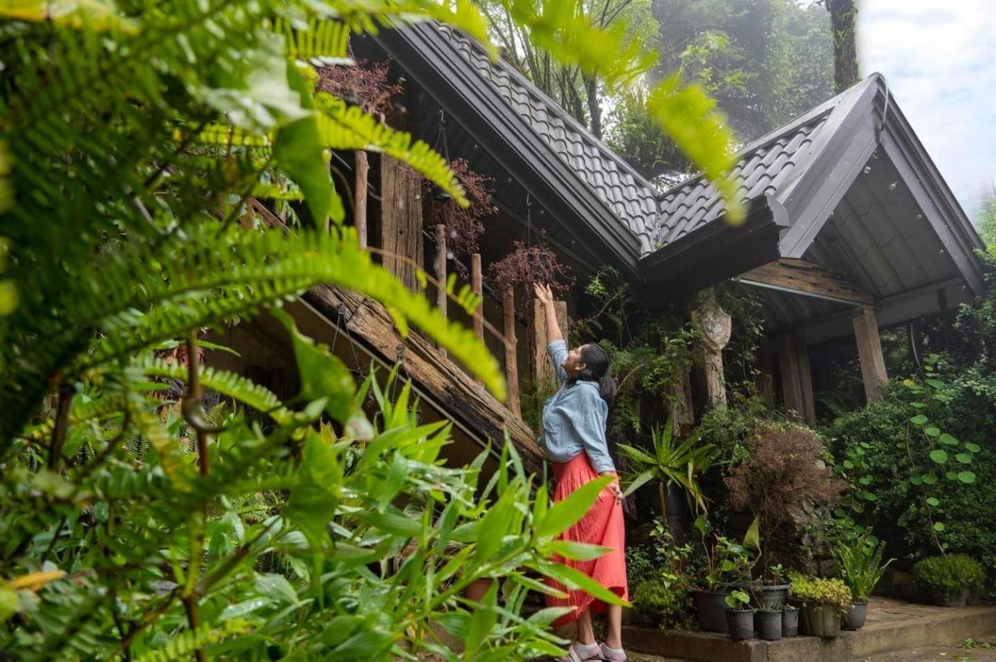 Villa 47 Nuwaraeliya Nuwara Eliya Exterior foto
